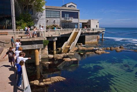 casinos in monterey|hotels near monterey bay aquarium.